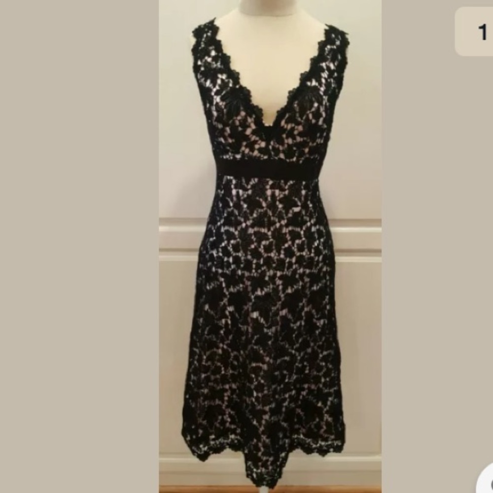 Tadashi Collection Pink & Black Lace Dress